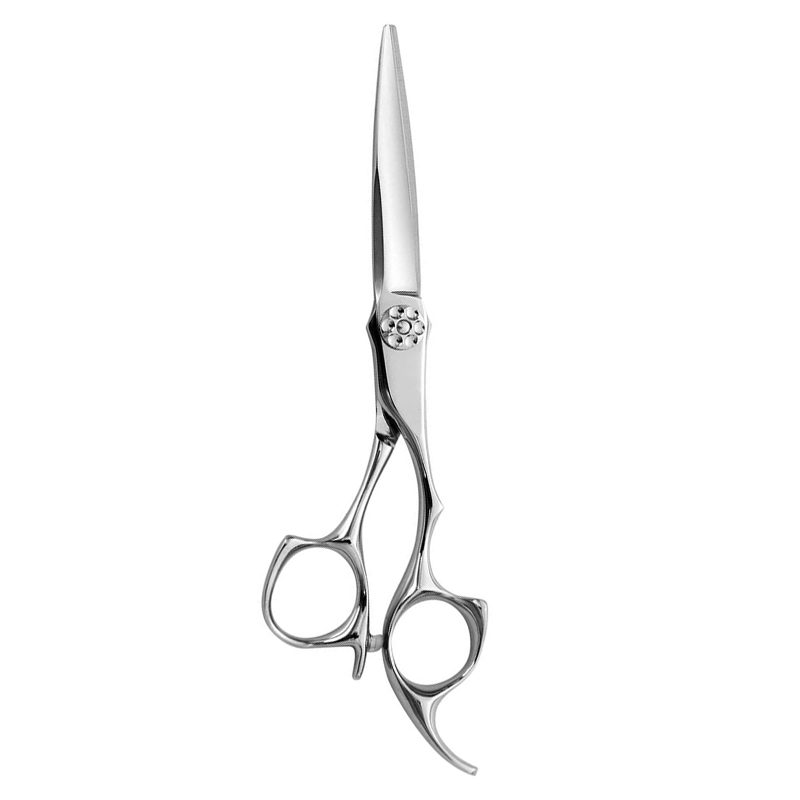 Professional Hair Cutting Scissor