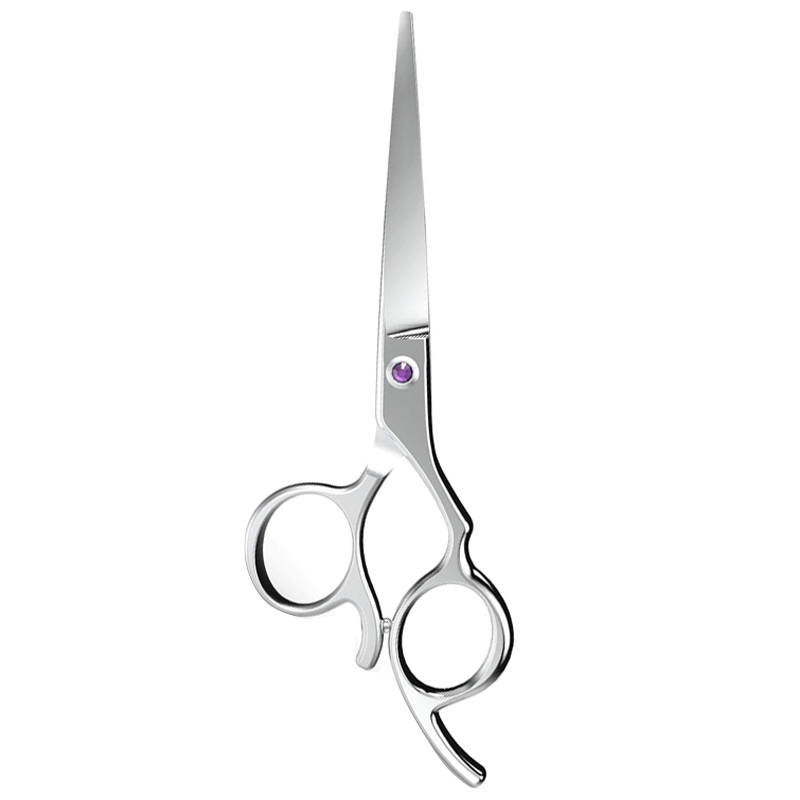 Professional Hair Cutting Scissor