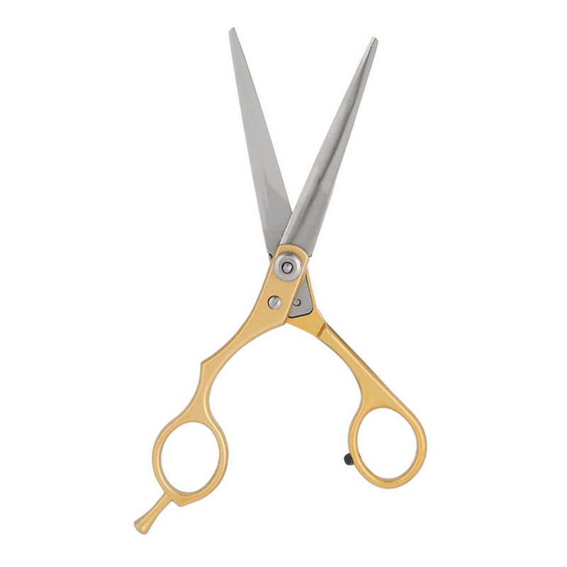 Professional Hair Cutting Scissor